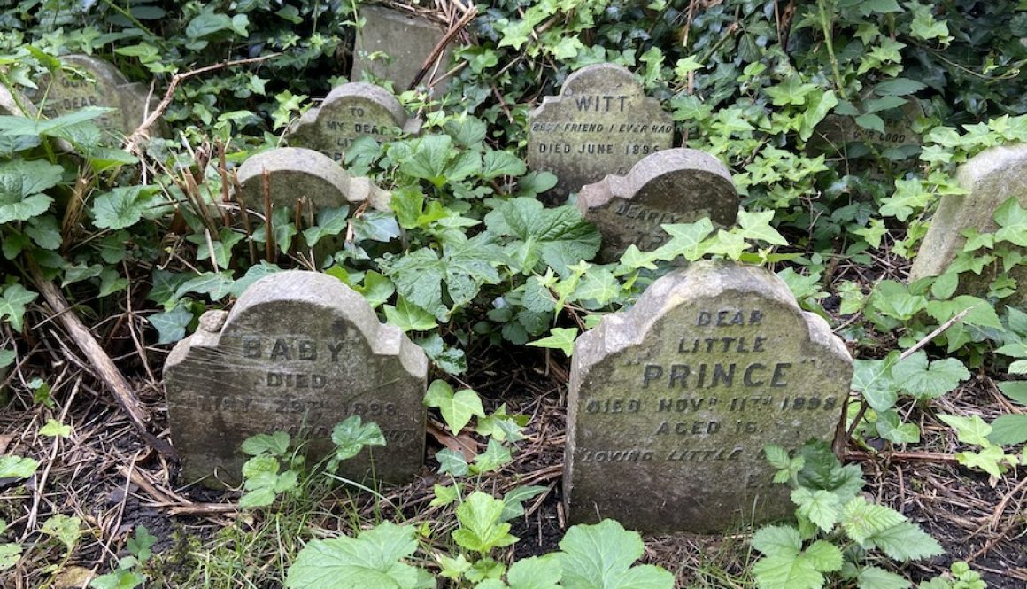 The Real Pet Cemetery