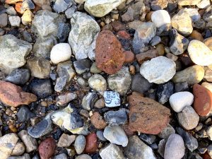 Riverbed at Low Tide