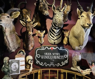 Must Visit Museums this Halloween (Part 3) – Museum of Curiosities