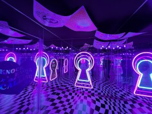 Alice's Adventures in Wonderland Infinity Room at Disney Wonder & Friendship Experience