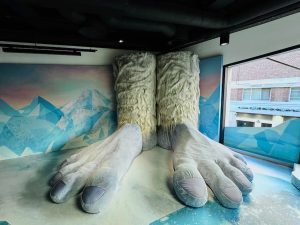 The Yeti's Den - Arctic Adventure FUJIFILM House of Photography