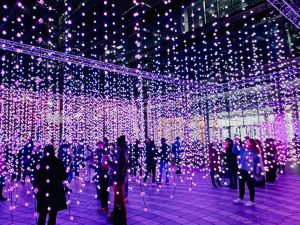 Canary Wharf Winter Lights Festival 2024 - Submergence by Squidsoup