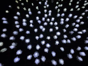 Ever After Garden 2024 Grosvenor Square