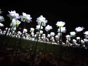 Ever After Garden at Grosvenor Square 2024