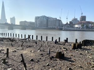 Riverbank - River Themes