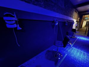 VR Room at Van Gogh- The Immersive Experience in London