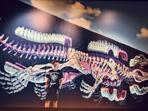 SURFACE- Photo Exhibition by Danish Photographer Søren Solkær