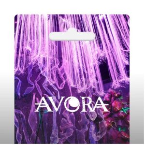 AVORA- New World Cocktail Experience Gift Card