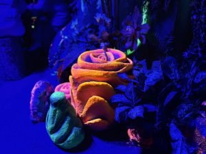 Bioluminiscent Plants - AVORA- A New World Immersive Experience London