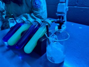 DIY Cocktails At Avora Cocktail Experience