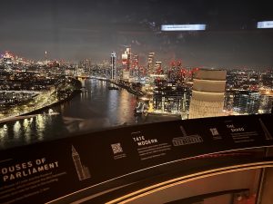 View from The Chimney Lift at Battersea Power Station