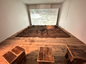 Ranti Bam- Sacred Groves Exhibition - South London Gallery