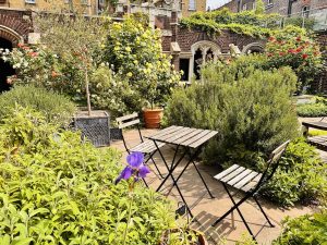 Secret Garden to Hire - Museum of the Order of St John