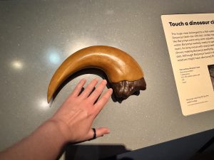 Baryonyx Claw - Jurassic Oceans- Monsters of the Deep Exhibition at the Natural History Museum London