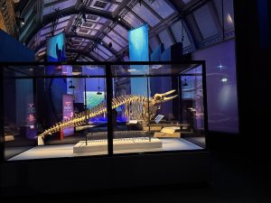 Jurassic Oceans- Monsters of the Deep Exhibition in London