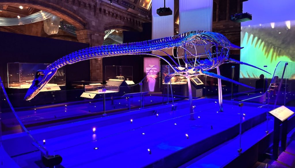Jurassic Oceans- Monsters of the Deep – New Exhibition at the Natural History Museum Jurassic Oceans- Monsters of the Deep – New Exhibition at the Natural History Museum