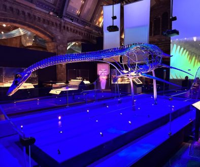 Jurassic Oceans- Monsters of the Deep – New Exhibition at the Natural History Museum Jurassic Oceans- Monsters of the Deep – New Exhibition at the Natural History Museum