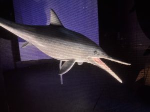 This How Ichthyosaur Would Have Looked Like - Jurassic Oceans- Monsters of the Deep Exhibition