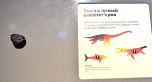 Touch a Jurassic Predator's Poo - Jurassic Oceans- Monsters of the Deep Exhibition