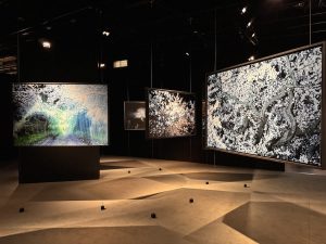 A New River Series by Iwane Ai at Japan House London