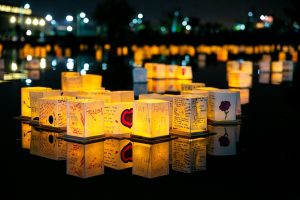 Group of Illuminating Lanterns Floating on the Water - Water Lantern Festival London