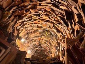 Book Tunnel at Wake the Tiger Amazement Park in Bristol