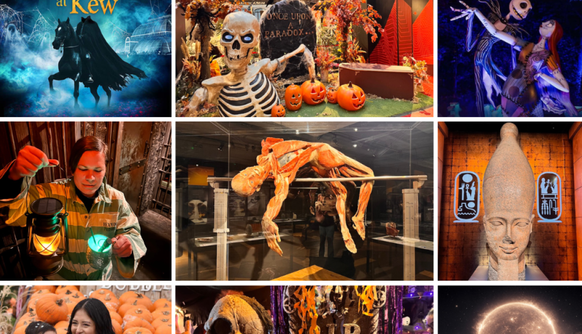 13 Spooktacular Things to Do this Spooky Season 13 Spooktacular Things to Do this Spooky Season