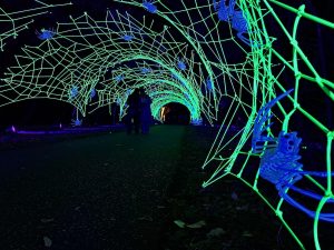 Glow-in-the-Dark Spider Web Tunnel - Halloween at Kew 2026