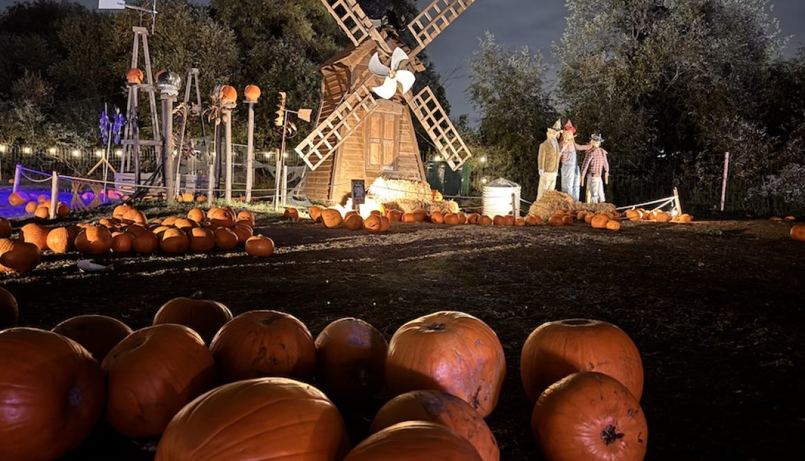 Hobbledown Heath Pumpkin Patch Hobbledown Heath Pumpkin Patch 2026