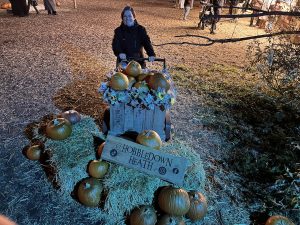 Hobbledon Heath Pumpkin Patch 2026