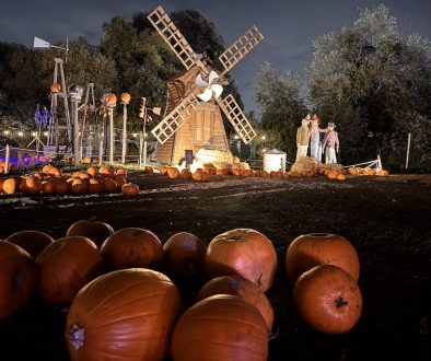 Hobbledown Heath Pumpkin Patch Hobbledown Heath Pumpkin Patch 2026