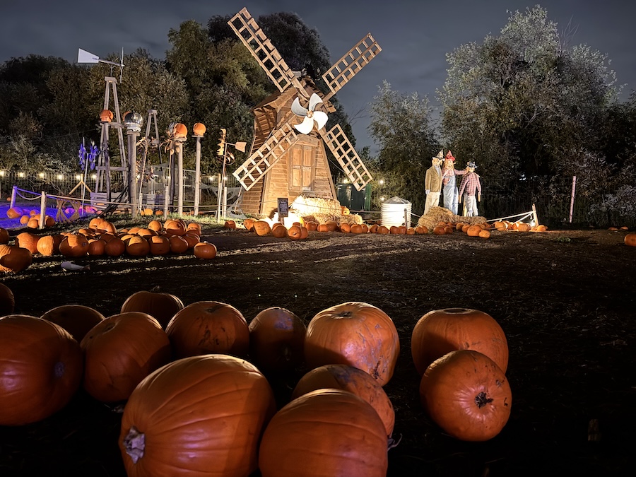 Hobbledown Heath Pumpkin Patch 2026
