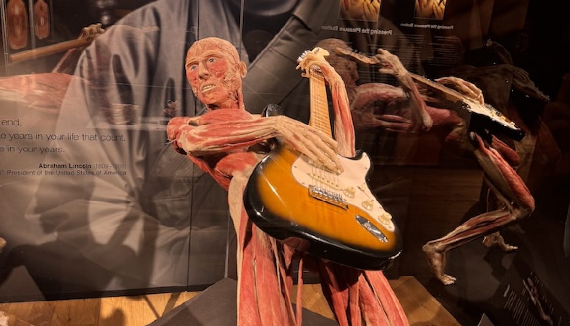How Happiness Impacts Our Bodies – BODY WORLDS - The Anatomy of Happiness How Happiness Impacts Our Bodies – BODY WORLDS - The Anatomy of Happiness