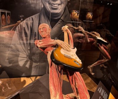 How Happiness Impacts Our Bodies – BODY WORLDS - The Anatomy of Happiness