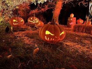 Jack O Lanterns - Halloween at Kew 2026