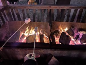 Mashmallow Toasting at Hobbledon Heath Pumpkin Patch 2026
