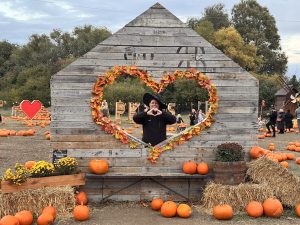 Photo Op at Hobbledon Heath Pumpkin Patch 2026