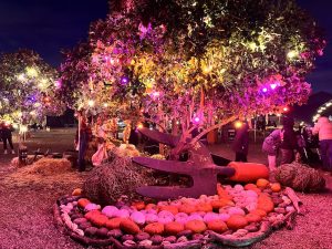 Pumpkin Nights at Hobbledon Heath Pumpkin Patch 2026