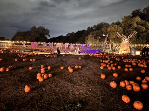Pumpkin Patch London - Hobbledon Heath Pumpkin Patch 2026