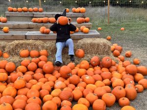 Pumpkin Photo Op at Hobbledon Heath Pumpkin Patch 2026
