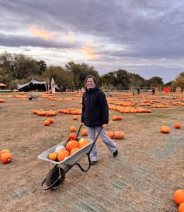 Pumpkin Picking at Hobbledon Heath Pumpkin Patch