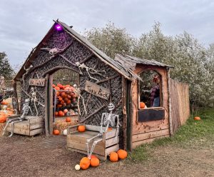 Spooky Photo Op at Hobbledon Heath Pumpkin Patch
