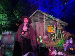 Wicked Witch - Halloween at Kew 2026